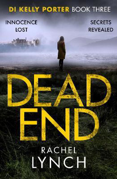 Picture of Dead End (DI Kelly Porter 3)