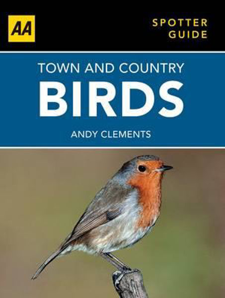 Picture of Town and Country Birds