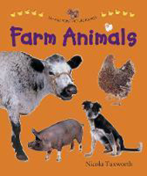Picture of Say and Point Picture : Farm Animals