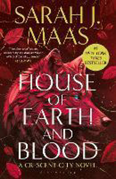 Picture of House of Earth and Blood (CC 1)