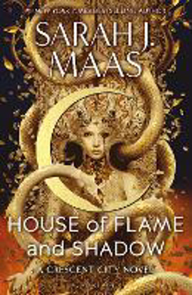 Picture of House of Flame and Shadow (CC 3)