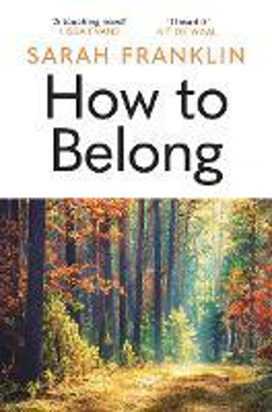 Picture of How to Belong